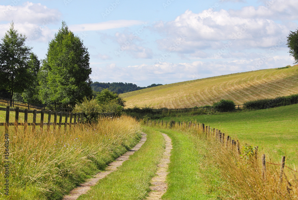 English Landscape with Farm track
