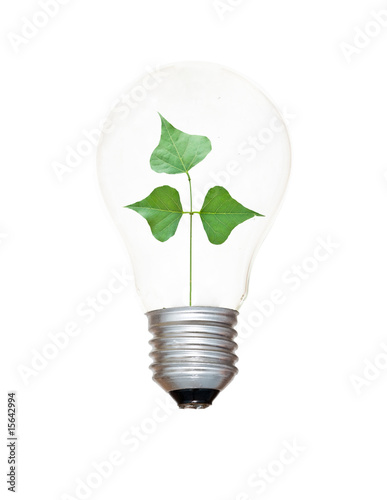 Wallpaper Mural Incandescent light bulb with a tree shoot as the filament Torontodigital.ca