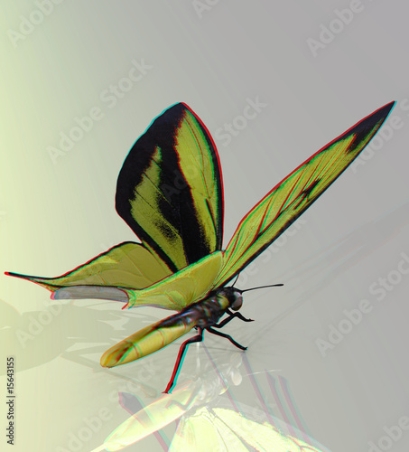 anaglyph image of a butterfly. view in 3d with red-blue-glasses
