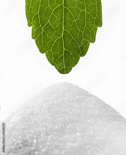 Stevia Rebaudiana-Süsskraut photo