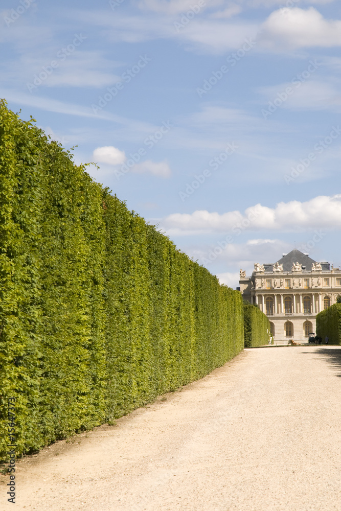 Allée, chateau de Versailles, France