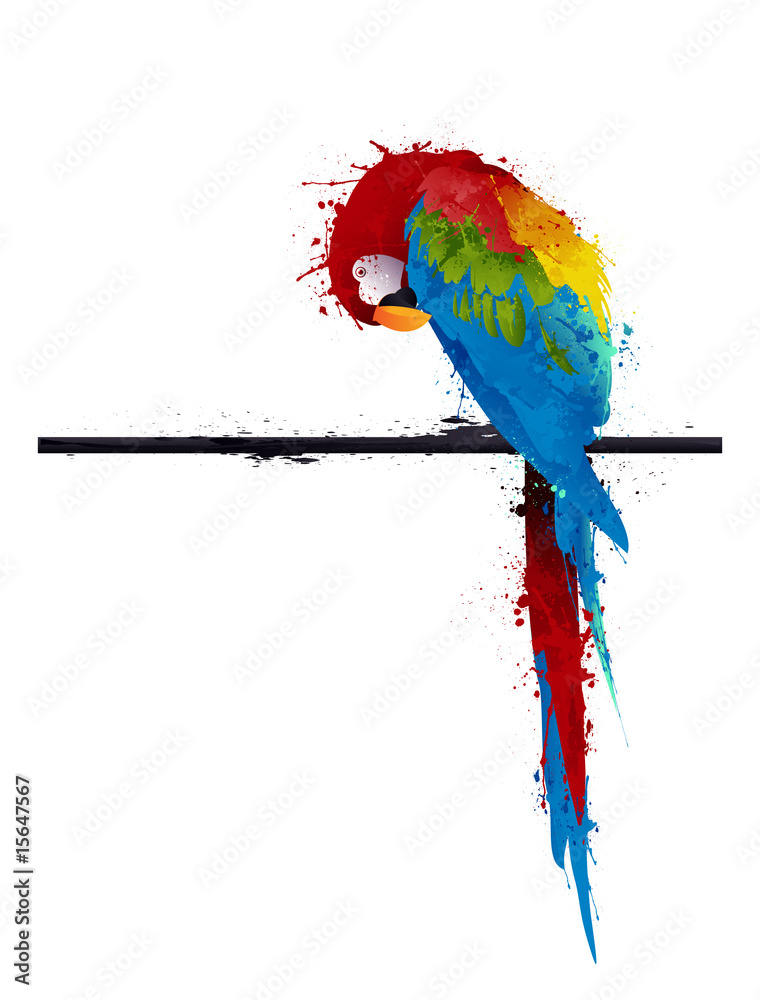 Fototapeta premium vector parrot parakeet, graffiti