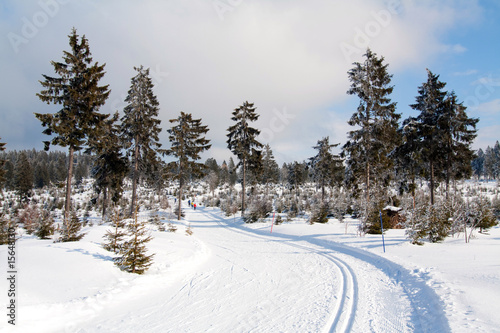 Langlauf im Winterwald © MarcelS