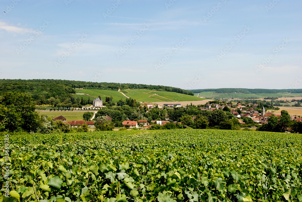 Vignes, Village de Bligny (Aube)
