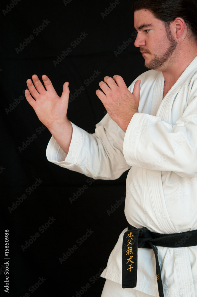 Fototapeta premium Taekwon-Do Black Belt