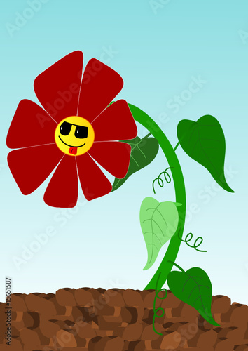 fleur en smiley