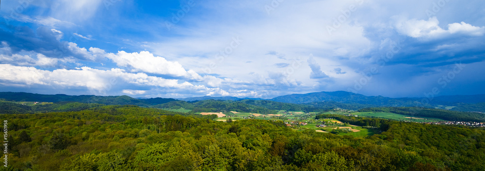 Black forrest at Germany nearly Freiburg