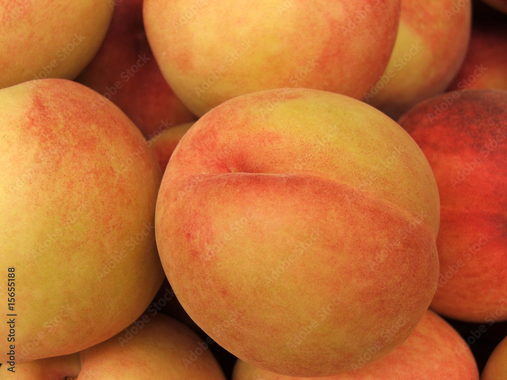 Pesche (Prunus Persica) Pesche (Prunus Persica)