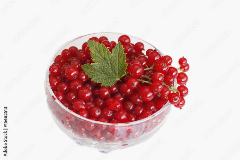 Red currant Red currant