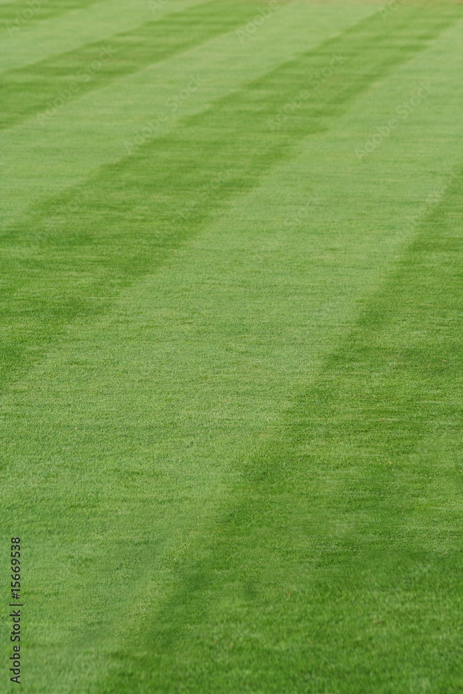 Striped grass on a baseball field Striped grass on a baseball field