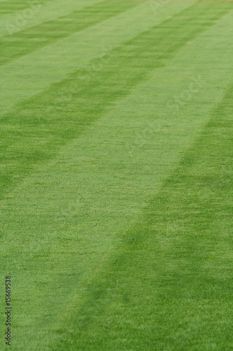 Striped grass on a baseball field