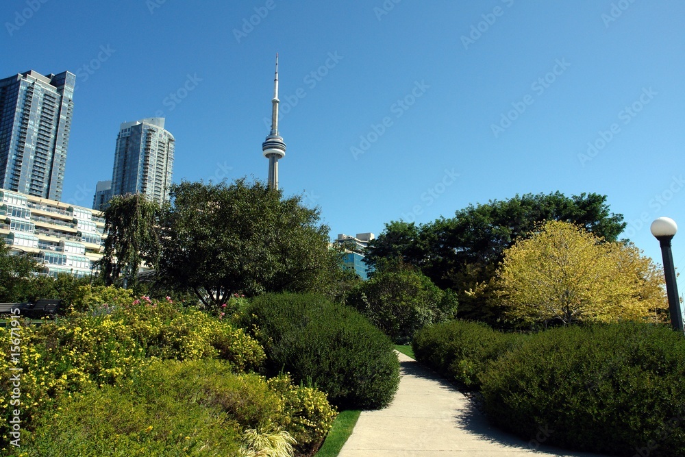 Obraz premium Toronto