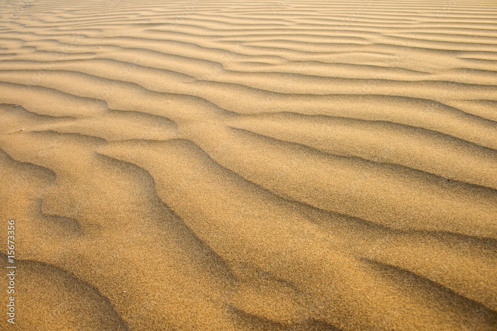 Fototapeta premium Sand
