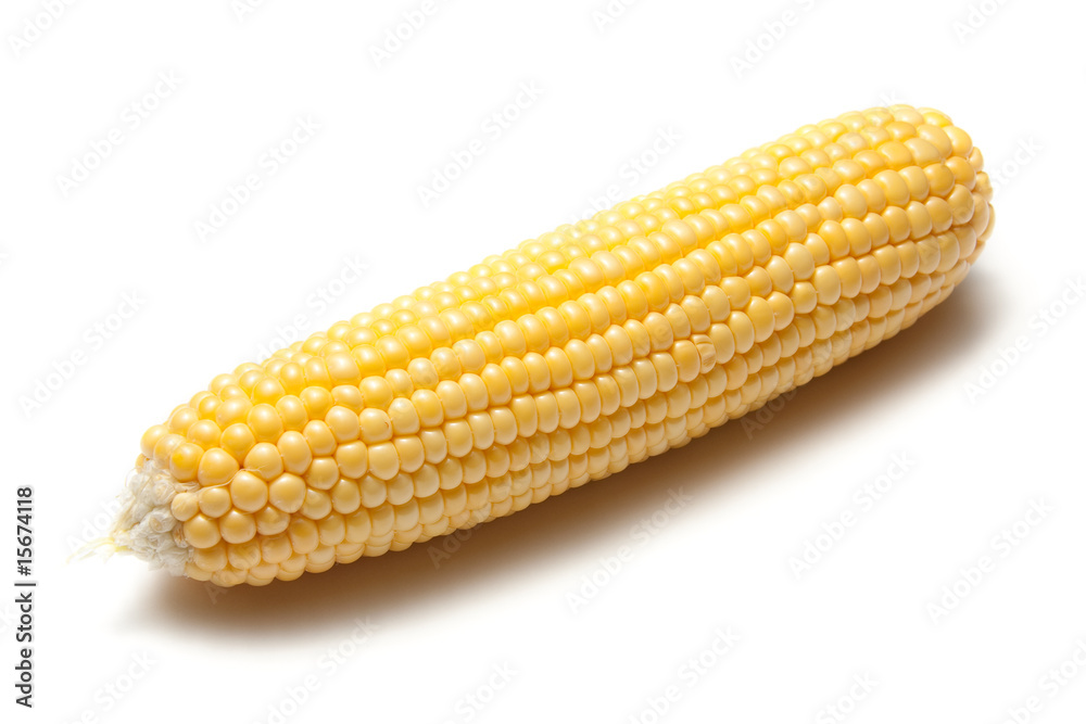 SIngle isolated corn cob on white background SIngle isolated corn cob on white background