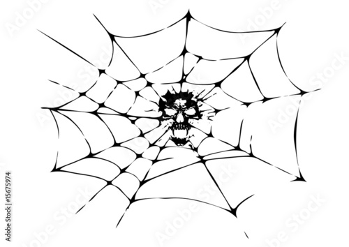 death in the cobweb
