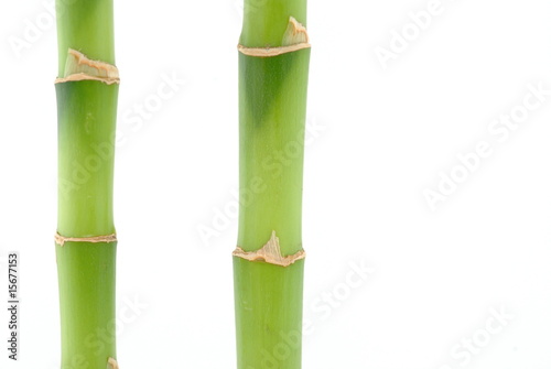 deux bambous