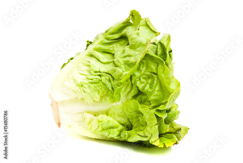 lettuce isolated