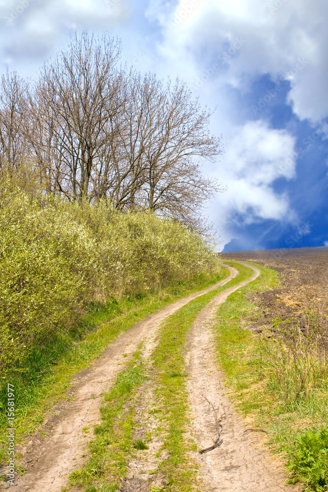 Spring rural road Spring rural road