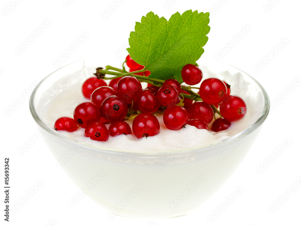 Yogurt bowl with Redcurrant berries Yogurt bowl with Redcurrant berries
