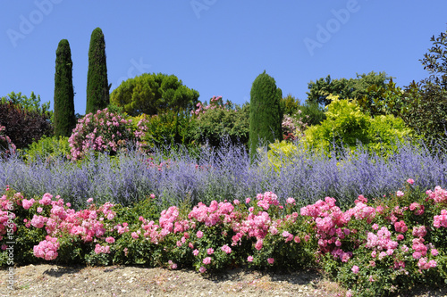 jardin provençal