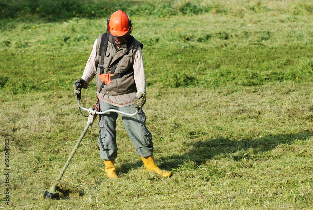 Gras mähen Gras mähen