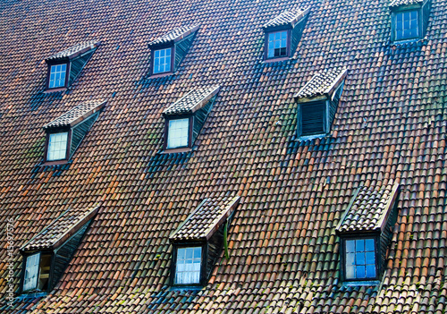 Tiled roof windows