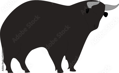 Black bull