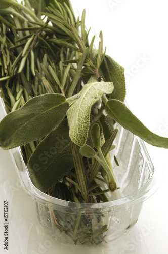 Rosemary and sage photo