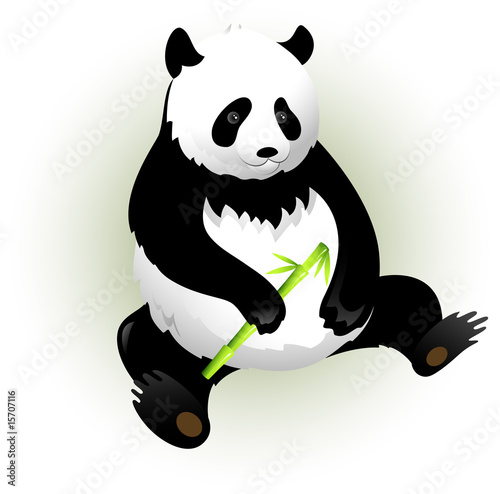 Fototapeta Naklejka Na Ścianę i Meble -  Panda
