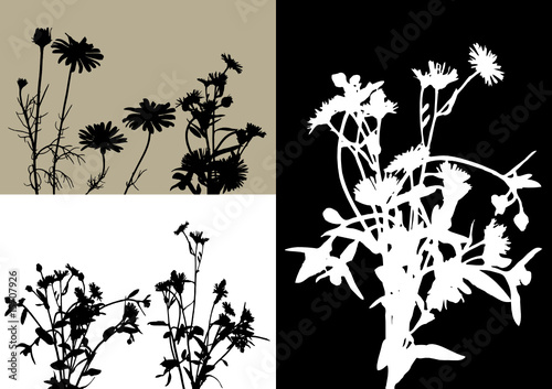 collection for designers, plant vector
