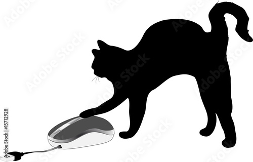 chat et souris