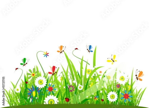 Summer meadow beautiful
