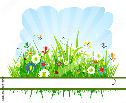Summer meadow beautiful