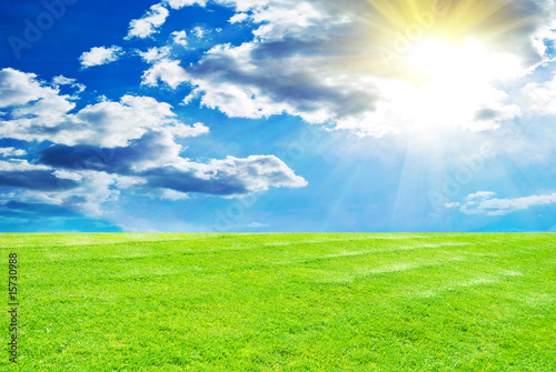 Blue sky and grass background