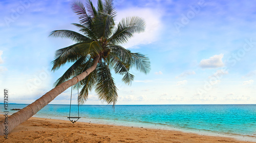 Palm na plaży
