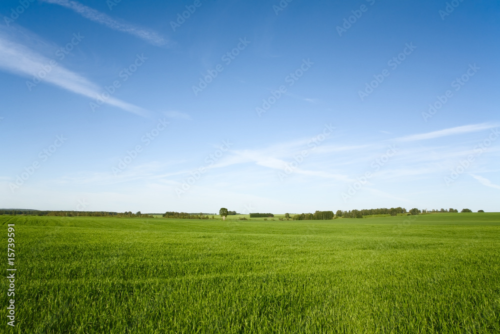 beautiful landscape and cloudy sky beautiful landscape and cloudy sky