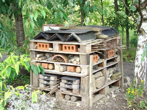 Wildlife Hotel