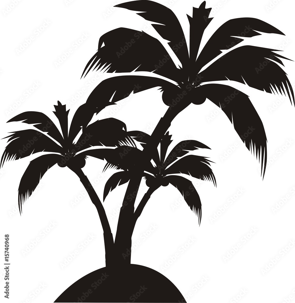 Obraz premium palm
