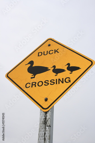 Verkehrsschild duck crossing, USA