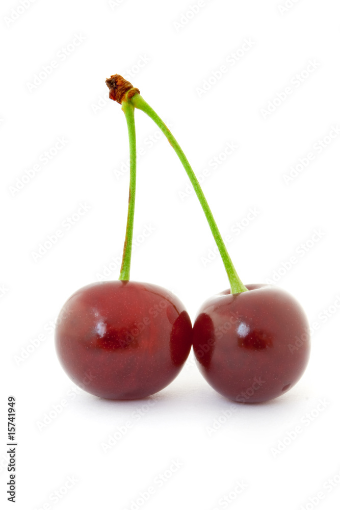 cherry cherry