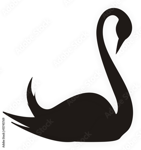swan