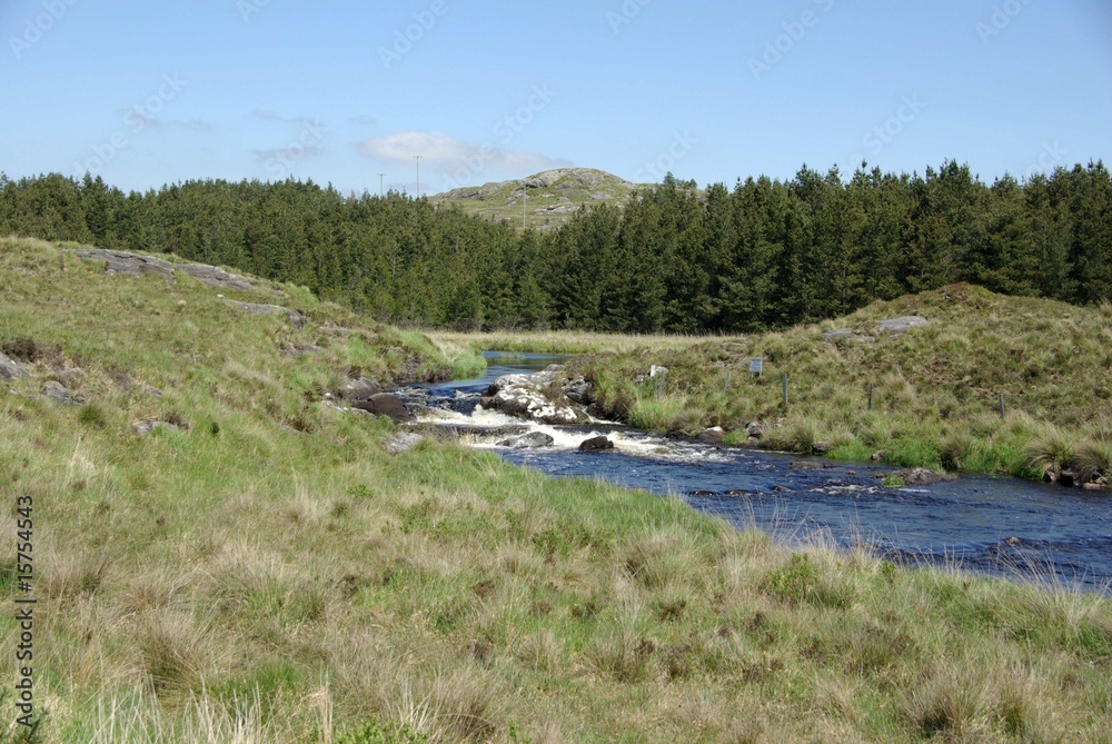 Fototapeta premium Torrent en Irlande