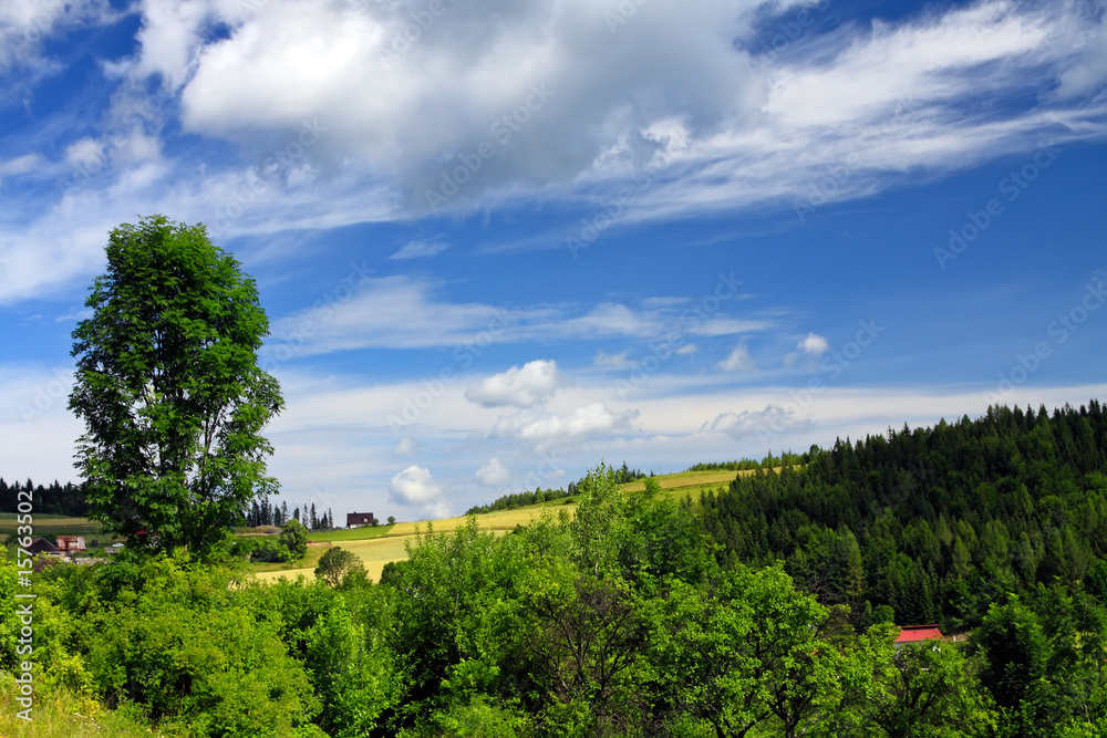 Fototapeta premium Beautiful landscape