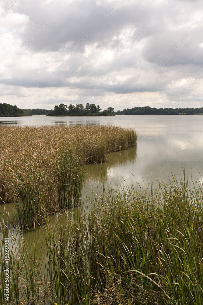 Rozmberk pond at Trebon, Czech republic