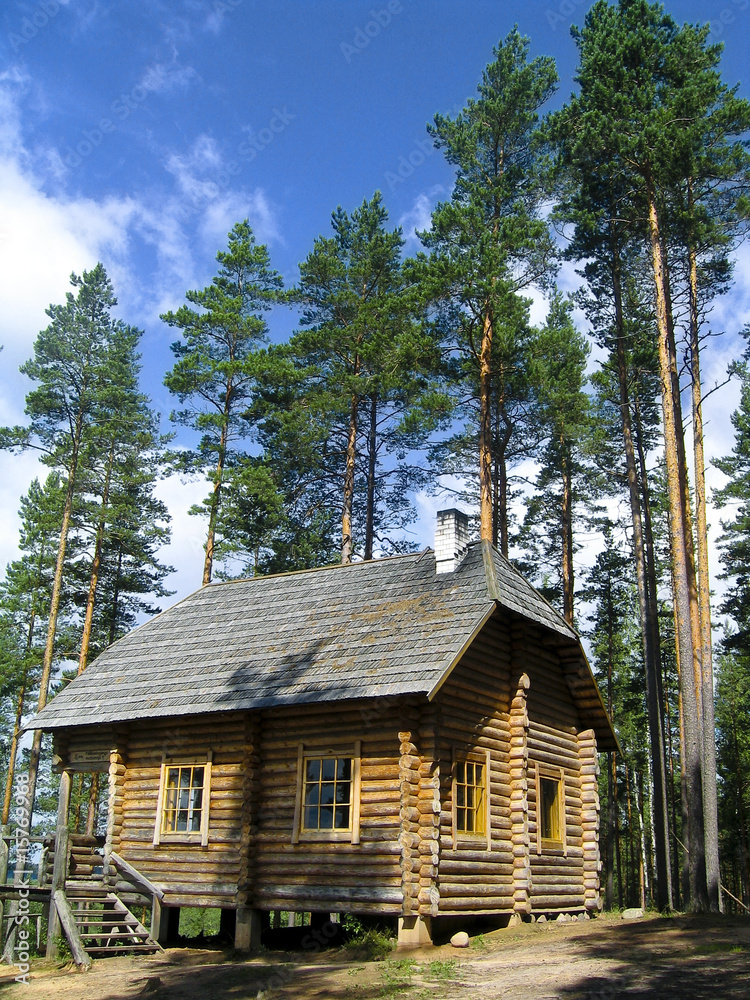Log house in the forest Log house in the forest