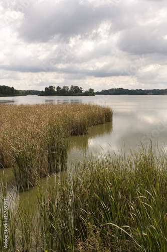 Rozmberk pond at Trebon  Czech republic