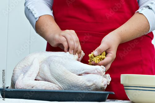 Canvas Print Woman's hands stuffing a large turkey for a holiday dinner.