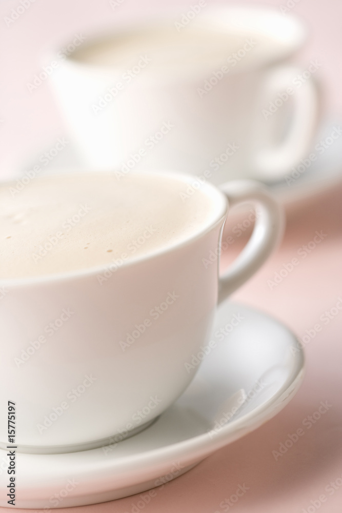 カプチーノ カプチーノ