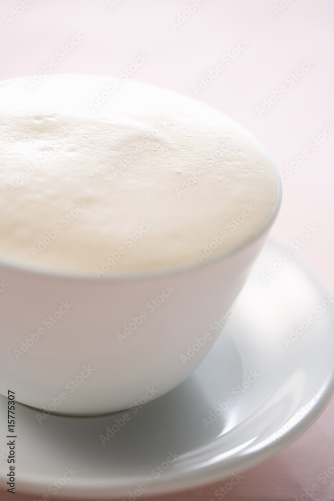 カプチーノ カプチーノ
