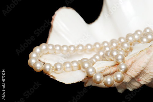 strand of cream colored pearls in a shell